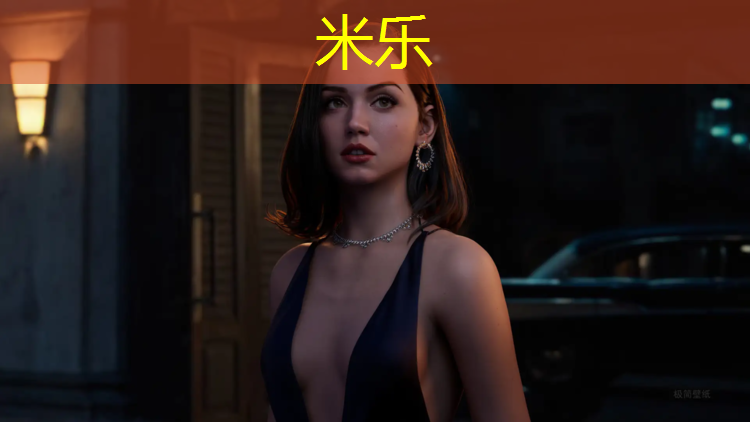 <strong>米樂：跆拳道3號(hào)護(hù)具</strong>